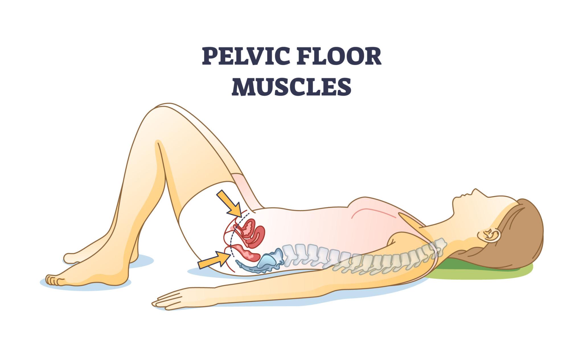 Pelvic floor therapy insurance coverage