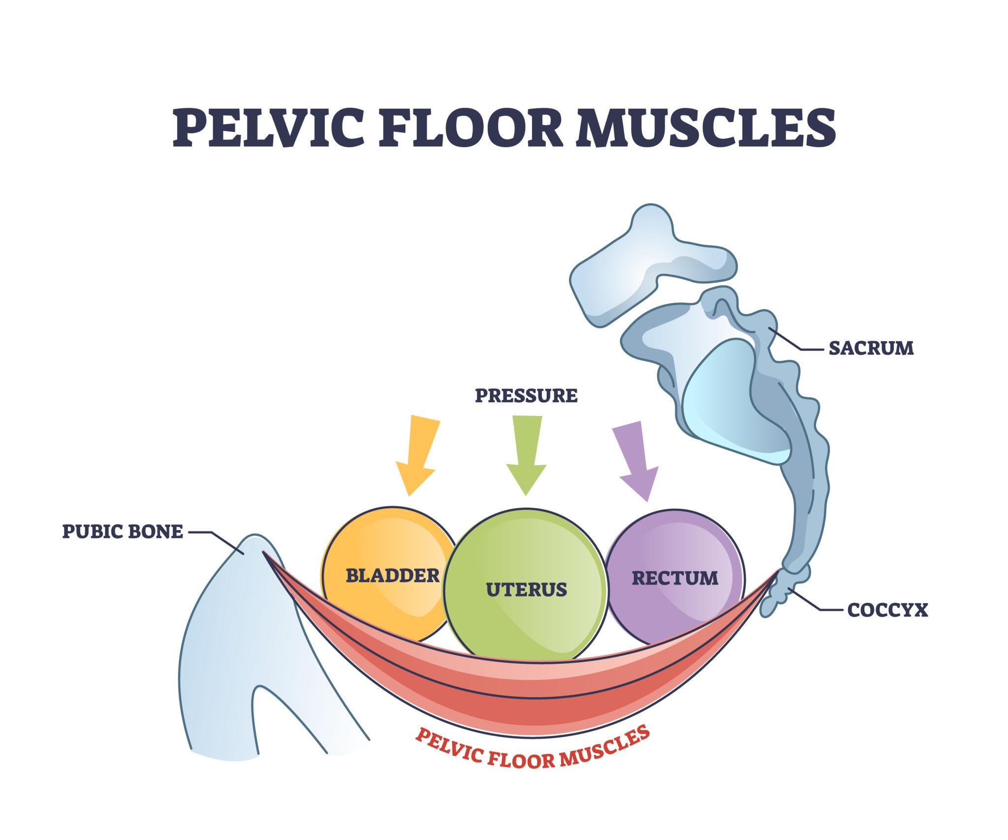 Pelvic health treatment