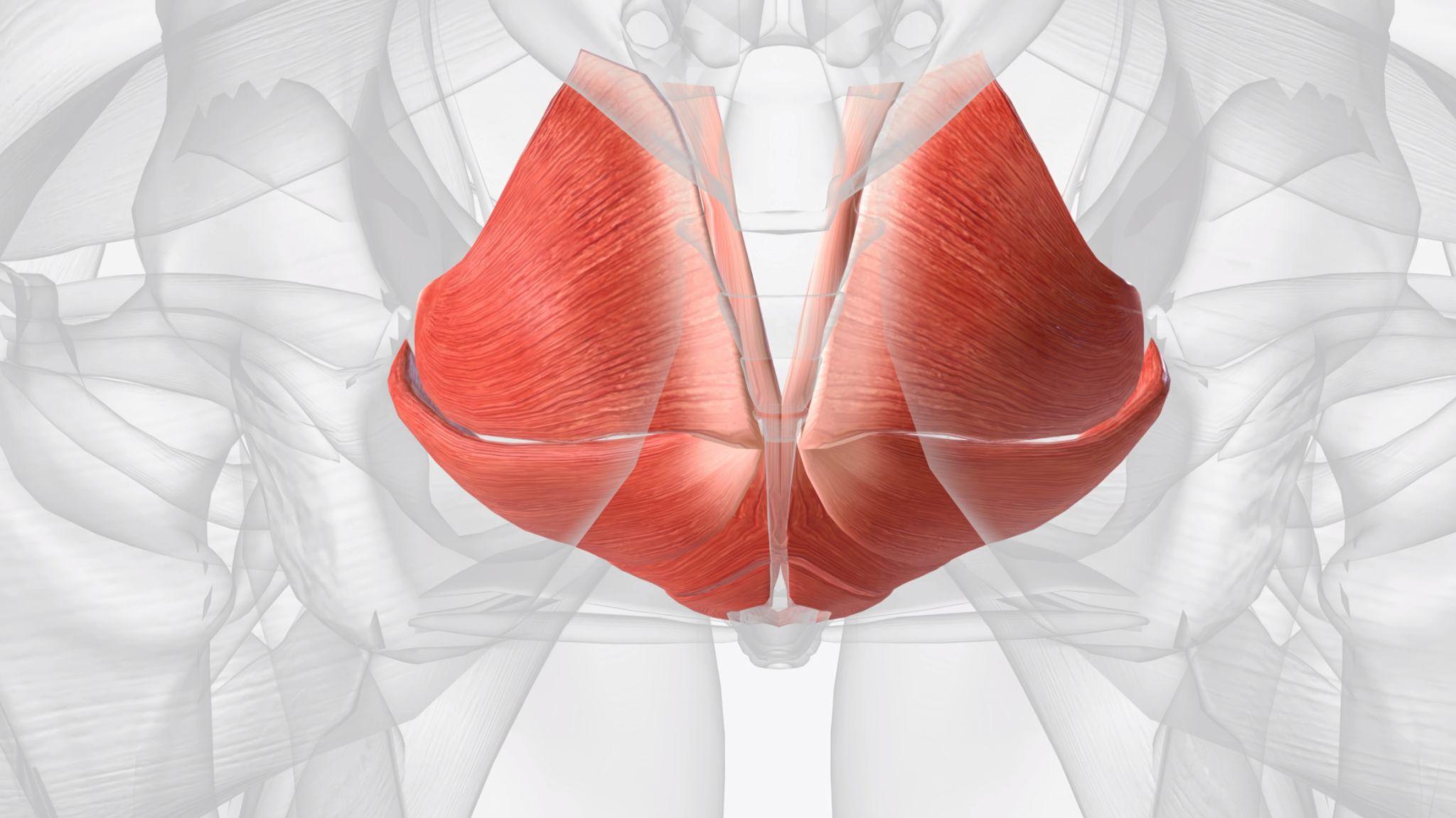 B-Pulse Therapy visual